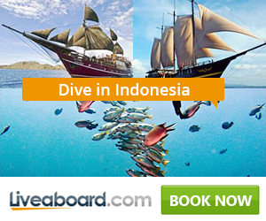 liveaboard deals in Indonesia