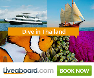 liveaboard offers in Thailand