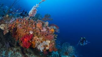 What is technical diving?