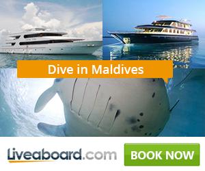 liveaboard offers in the Maldives